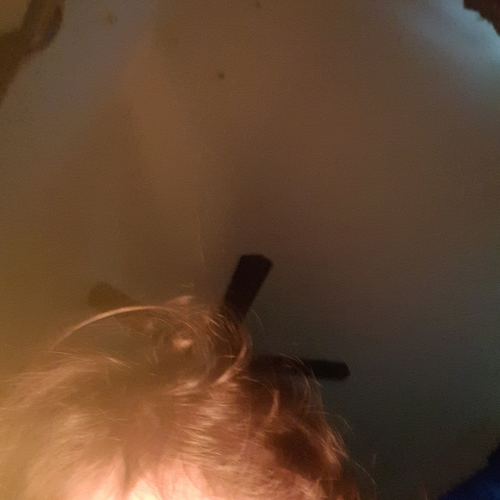 Meet your Posher, Perla